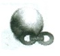 Q55b